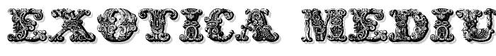 exotica Medium font